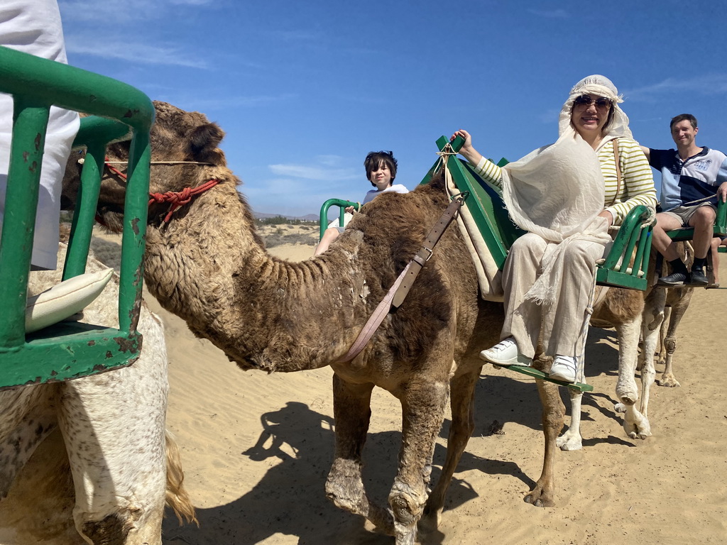 Tim, Miaomiao and Max on their Dromedaries at the Maspalomas Dunes, during the Camel Safari