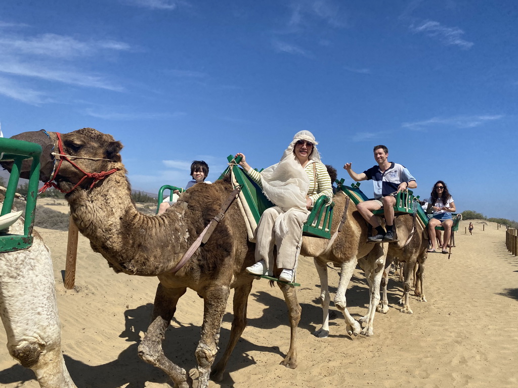 Tim, Miaomiao and Max on their Dromedaries at the Maspalomas Dunes, during the Camel Safari