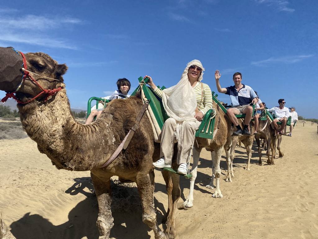 Tim, Miaomiao and Max on their Dromedaries at the Maspalomas Dunes, during the Camel Safari