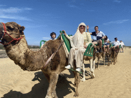 Tim, Miaomiao and Max on their Dromedaries at the Maspalomas Dunes, during the Camel Safari