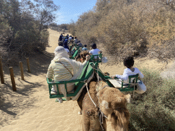 Miaomiao and Max on their Dromedary at the Maspalomas Dunes, viewed from Tim`s Dromedary, during the Camel Safari