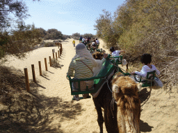 Guide and Miaomiao and Max on their Dromedary at the Maspalomas Dunes, viewed from Tim`s Dromedary, during the Camel Safari