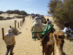 Guides and Miaomiao and Max on their Dromedary at the Maspalomas Dunes, viewed from Tim`s Dromedary, during the Camel Safari