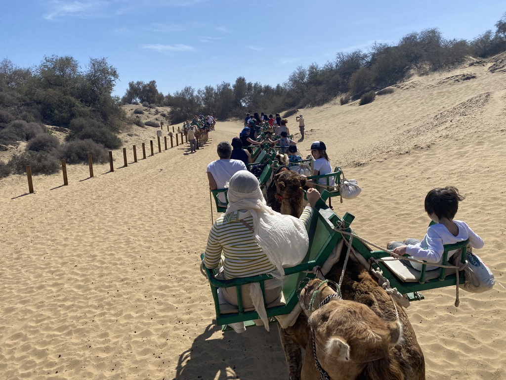 Guides and Miaomiao and Max on their Dromedary at the Maspalomas Dunes, viewed from Tim`s Dromedary, during the Camel Safari