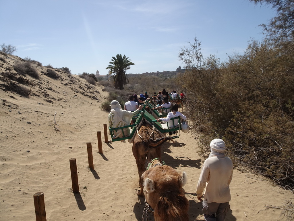 Miaomiao and Max on their Dromedary at the Maspalomas Dunes, the towers of the Lopesan Costa Meloneras Resort, Spa & Casino and the Lopesan Baobab Resort, viewed from Tim`s Dromedary, during the Camel Safari