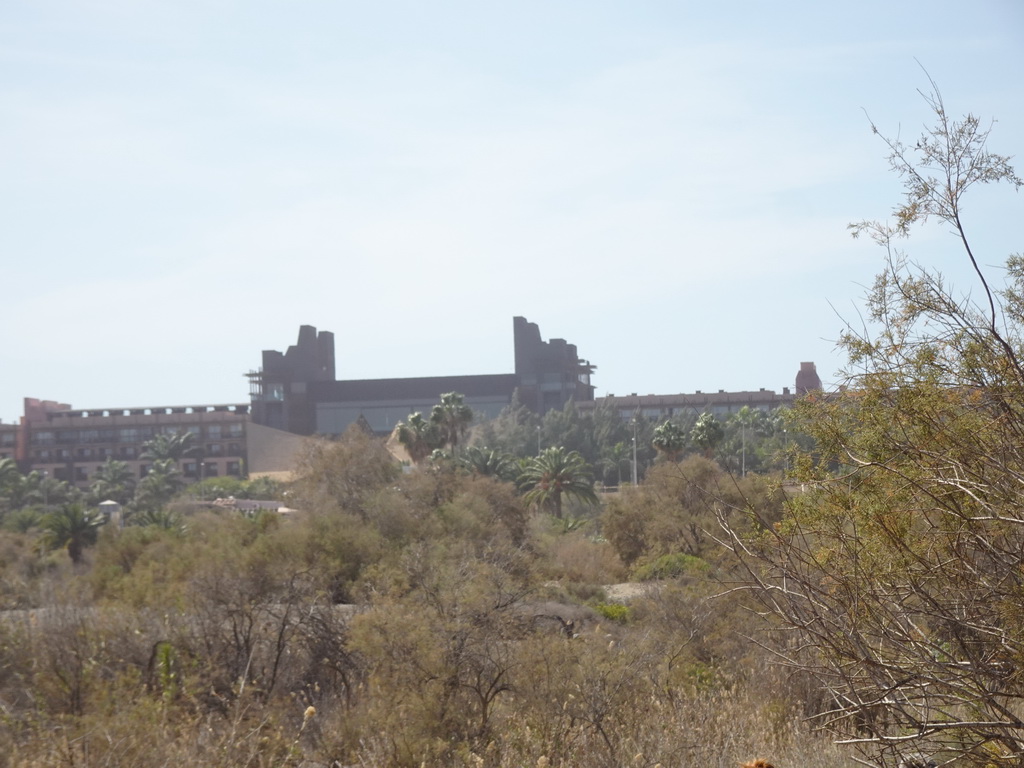 The Maspalomas Dunes and the Lopesan Baobab Resort, viewed from Tim`s Dromedary, during the Camel Safari