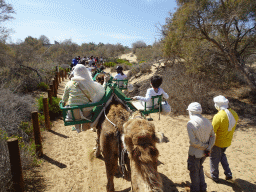 Guides and Miaomiao and Max on their Dromedary at the Maspalomas Dunes, viewed from Tim`s Dromedary, during the Camel Safari