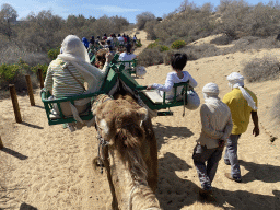Guides and Miaomiao and Max on their Dromedary at the Maspalomas Dunes, viewed from Tim`s Dromedary, during the Camel Safari