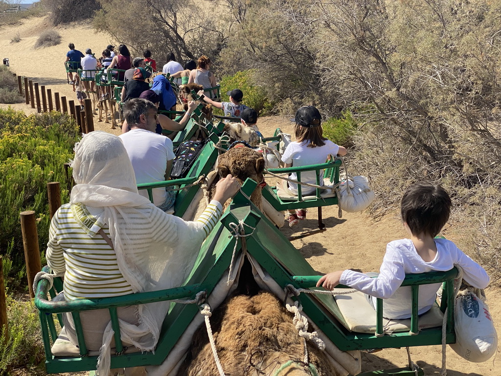 Miaomiao and Max on their Dromedary at the Maspalomas Dunes, viewed from Tim`s Dromedary, during the Camel Safari