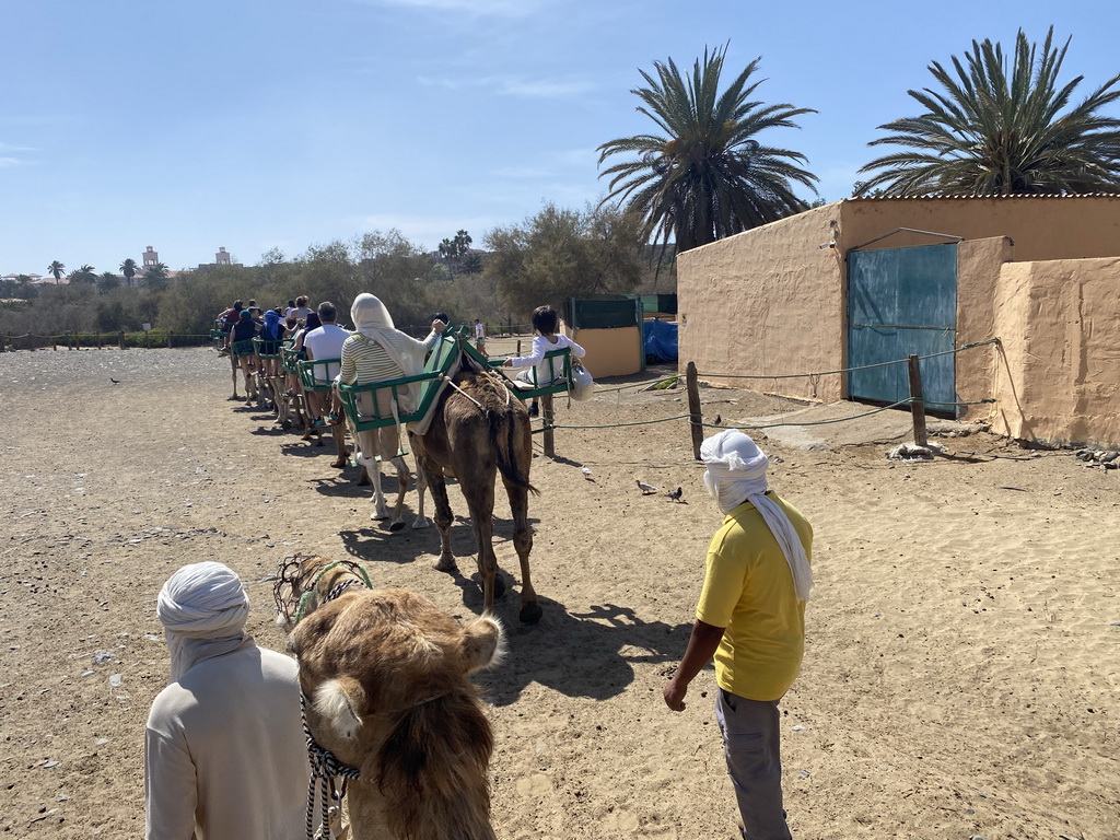 Guides, Miaomiao and Max on their Dromedary at the ending point of the Camel Safari and the towers of the Lopesan Costa Meloneras Resort, viewed from Tim`s Dromedary