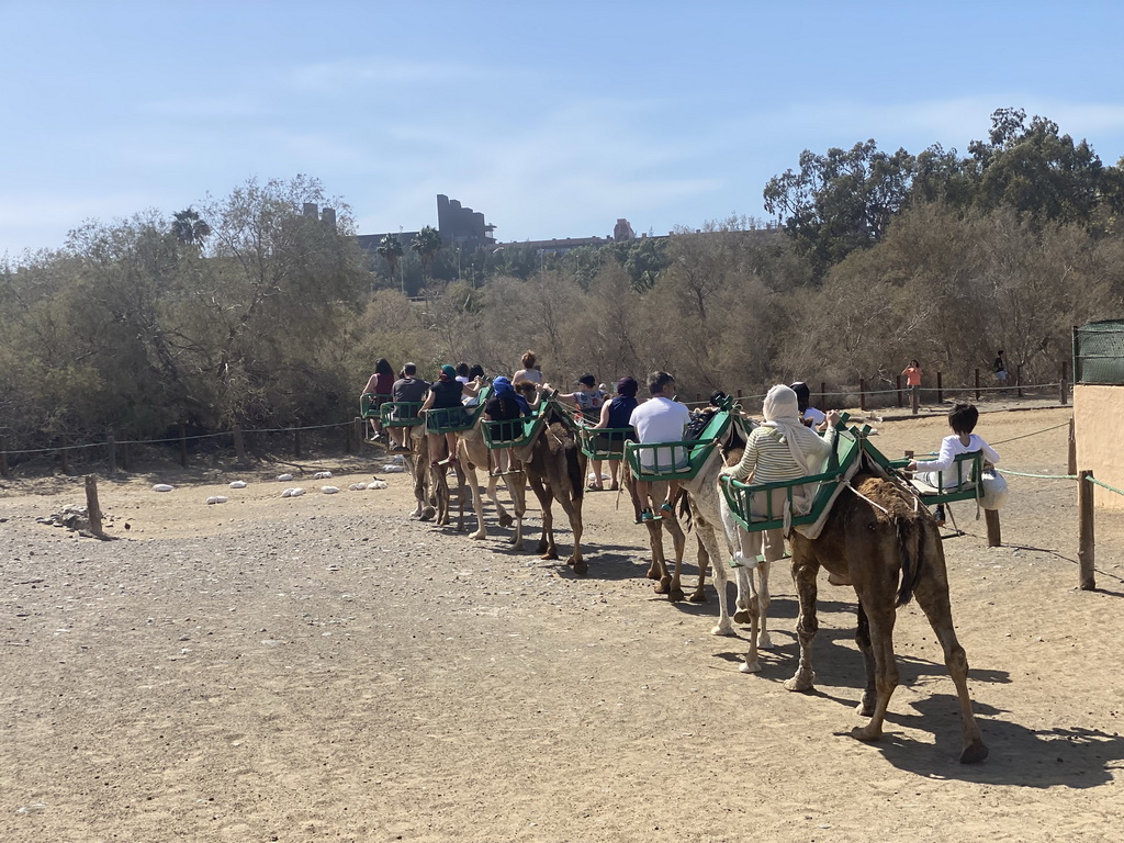 Miaomiao and Max on their Dromedary at the ending point of the Camel Safari and the Lopesan Baobab Resort, viewed from Tim`s Dromedary