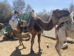 Miaomiao and Max on their Dromedary at the ending point of the Camel Safari