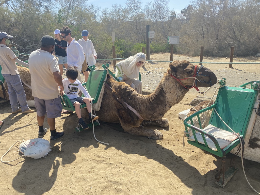 Miaomiao and Max getting off their Dromedary at the ending point of the Camel Safari