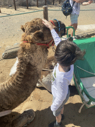 Max petting his Dromedary at the ending point of the Camel Safari