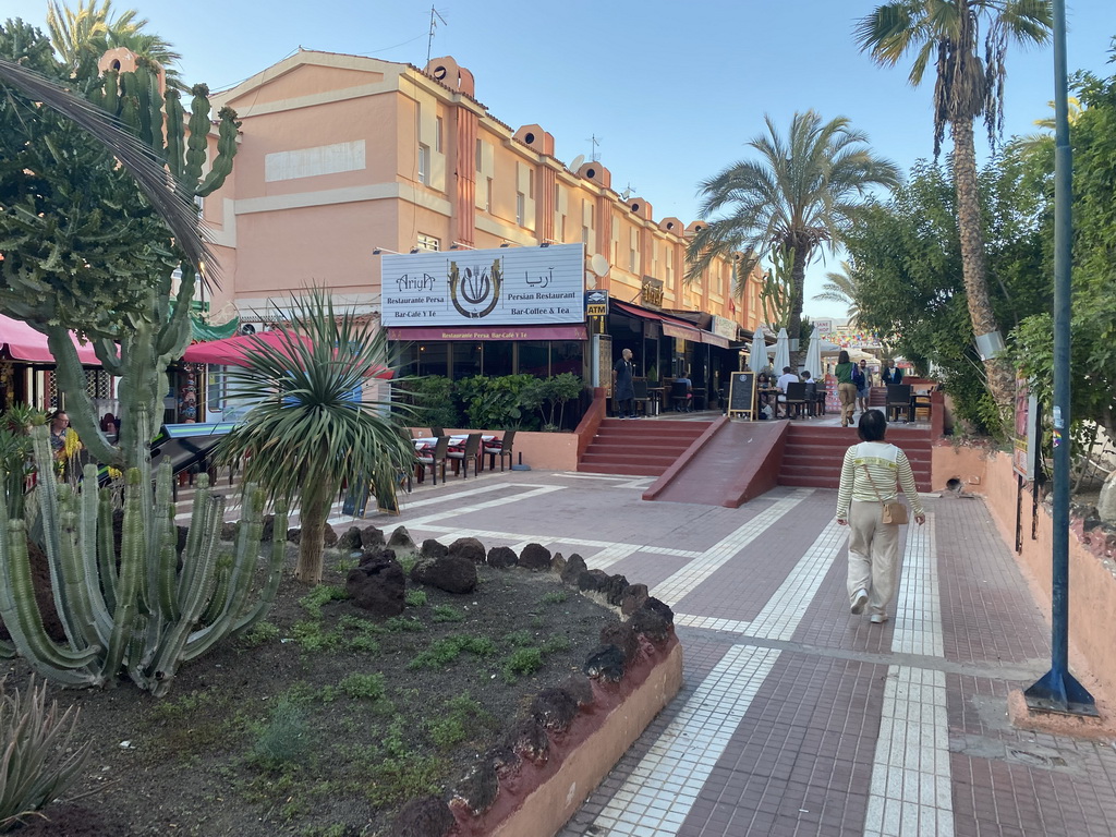 Miaomiao at the pedestrian street inbetween the Jardin del Sol hotel and the Hotel Riu Papayas