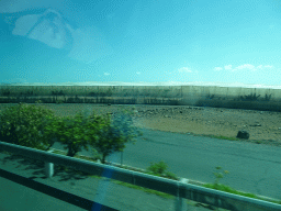 Greenhouses near the town of Vecindario, viewed from the bus to Las Palmas at the GC-1 road