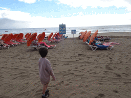 Max and sunbeds at the Playa del Inglés beach