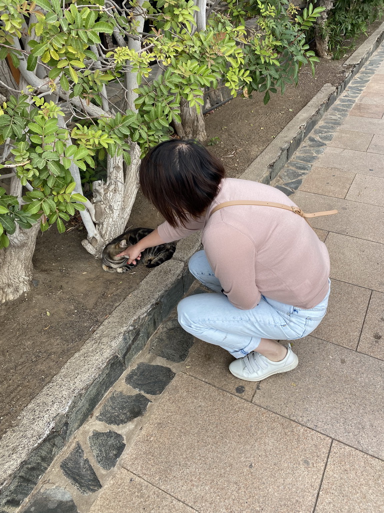 Miaomiao with a cat at the Paseo Costa Canaria street