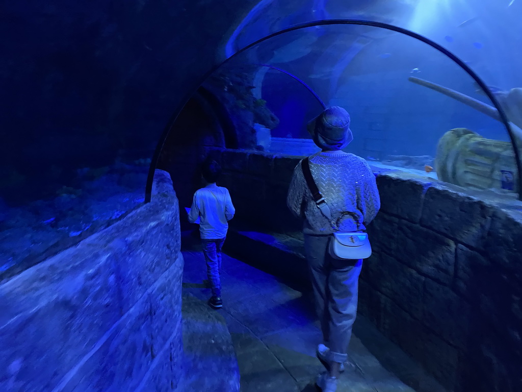 Miaomiao and Max at the underwater tunnel at the Sea Life Porto