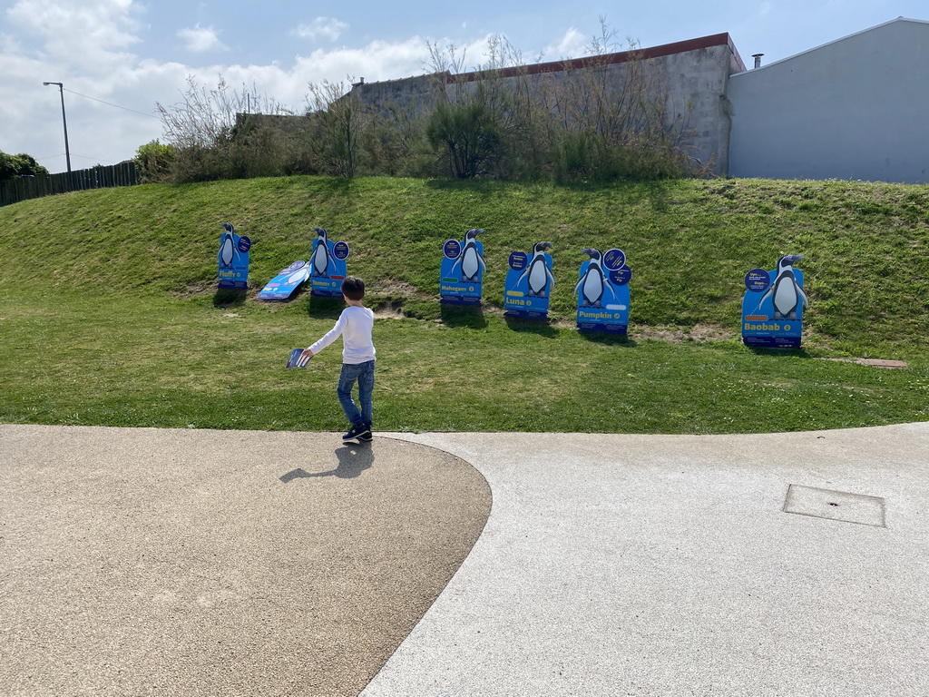 Max doing the scavenger hunt at penguin cardboards at the outdoor area at the Sea Life Porto