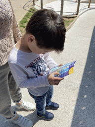 Max doing the scavenger hunt at the outdoor area at the Sea Life Porto