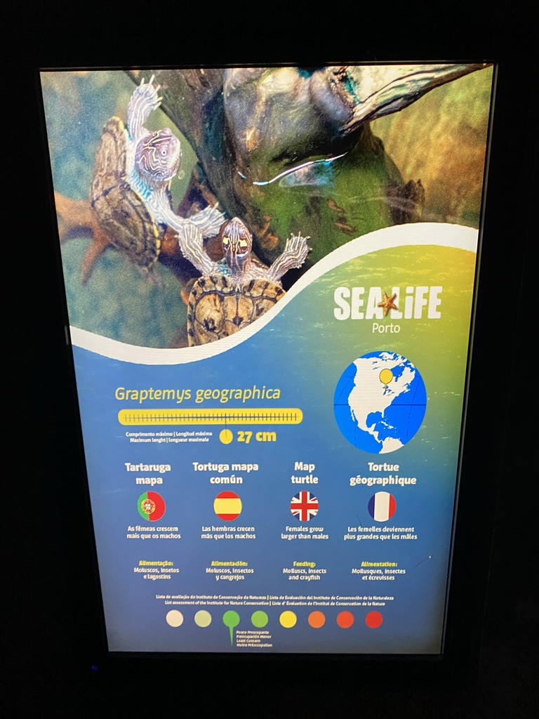 Explanation on the Map Turtle at the Sea Life Porto