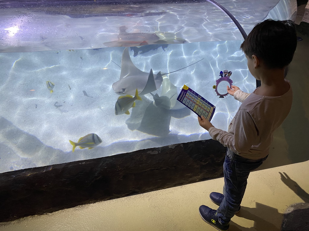Max doing the scavenger hunt and Stingrays and other fishes at the Sea Life Porto