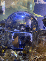 Max in an underwater tunnel and fishes at the Sea Life Porto