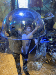 Max in an underwater tunnel and fishes at the Sea Life Porto