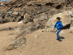 Max chasing birds at the beach at the south side of the Castelo do Queijo castle
