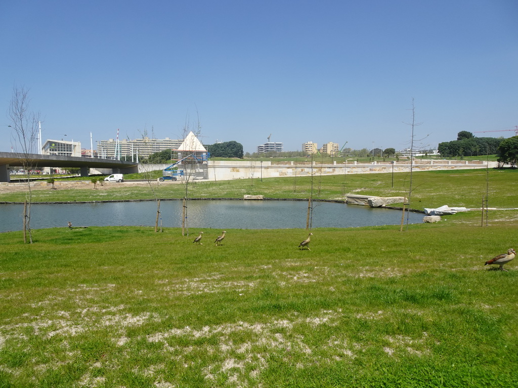 The Charca Lake at the Parque da Cidade do Porto park