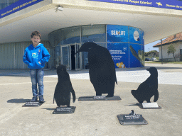 Max with his plush Penguin and cardbpoard Penguins in front of the Sea Life Porto at the Rua Particular No 1 Castelo do Queijo street