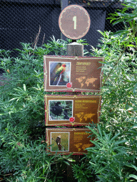 Explanation on the Sun Conure, Crestless Curassow and Guira Cuckoo at the America section of ZOO Planckendael