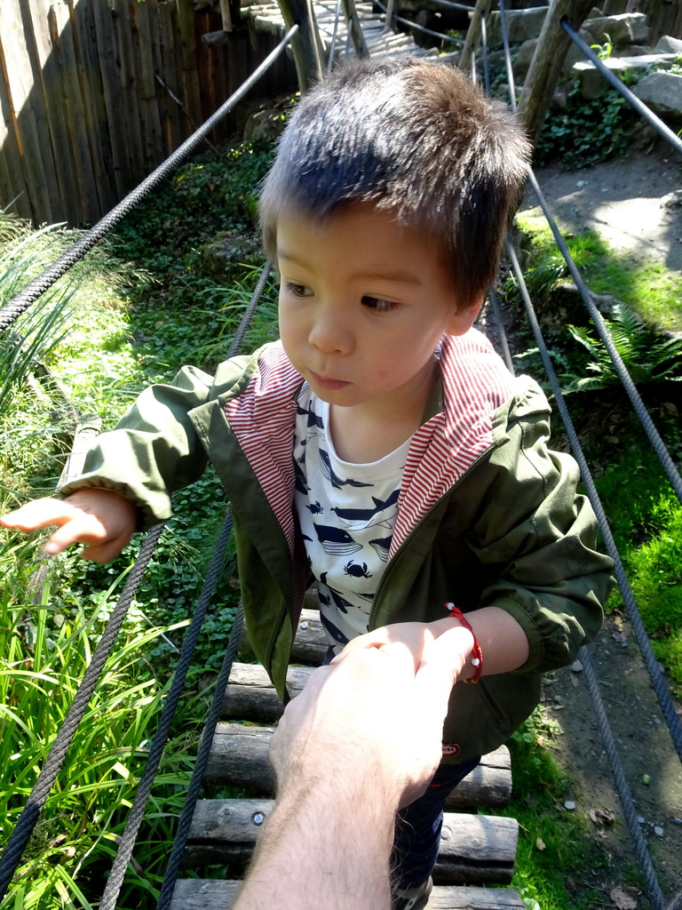 Max on a walking bridge at the America section of ZOO Planckendael