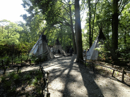 mechelen_2_026 - 515 kb - 1024x768 - Wigwams at the America section of ZOO Planckendael Wigwams at the America section of ZOO Planckendael