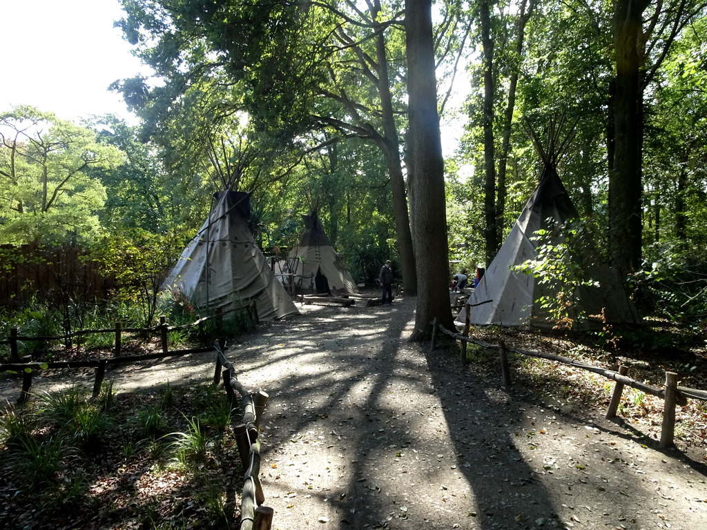 Wigwams at the America section of ZOO Planckendael