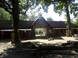 Goats and Pig at the petting zoo at the America section of ZOO Planckendael