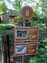 Explanation on the Giant Anteater and the Black-rumped Agouti at the America section of ZOO Planckendael