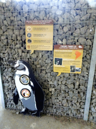 Information on Penguins at the America section of ZOO Planckendael