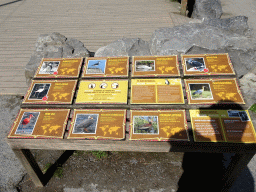 Explanation on the animal species at the Aviary at the America section of ZOO Planckendael