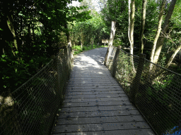 Bridge at the America section of ZOO Planckendael