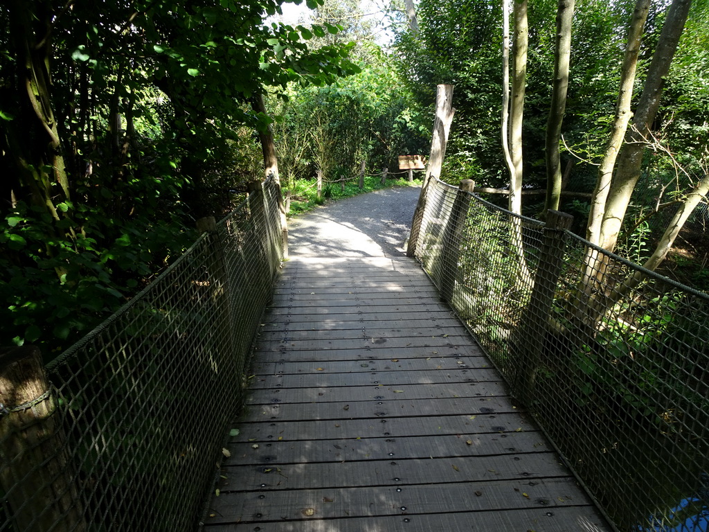 Bridge at the America section of ZOO Planckendael