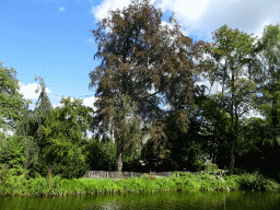 Aviary and pond at the Europe section of ZOO Planckendael