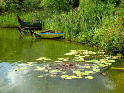 Pond with water lilies and boats at the Asia section of ZOO Planckendael