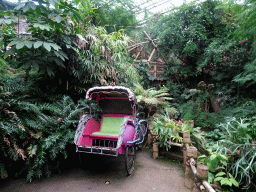 Rickshaw and walking bridge at the `Adembenemend Azië` building at the Asia section of ZOO Planckendael