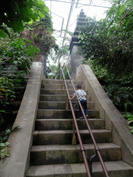 Max on a staircase at the `Adembenemend Azië` building at the Asia section of ZOO Planckendael