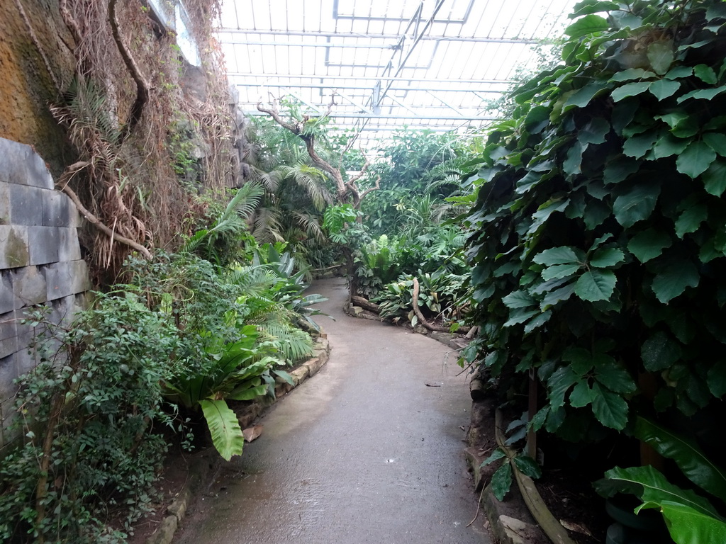 Path at the `Adembenemend Azië` building at the Asia section of ZOO Planckendael