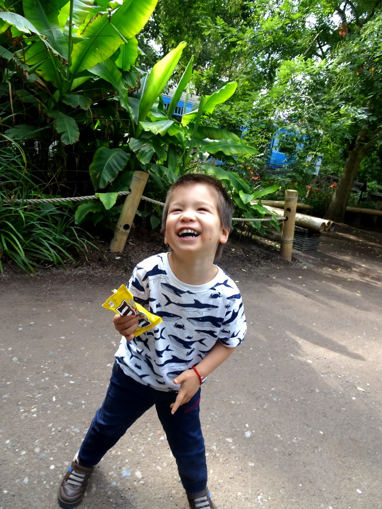 Max at the Asia section of ZOO Planckendael