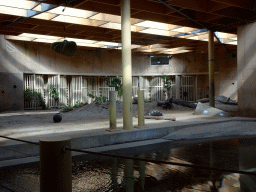 Interior of the Asian Elephant building at the Asia section of ZOO Planckendael