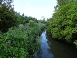 Pond at the Asia section of ZOO Planckendael